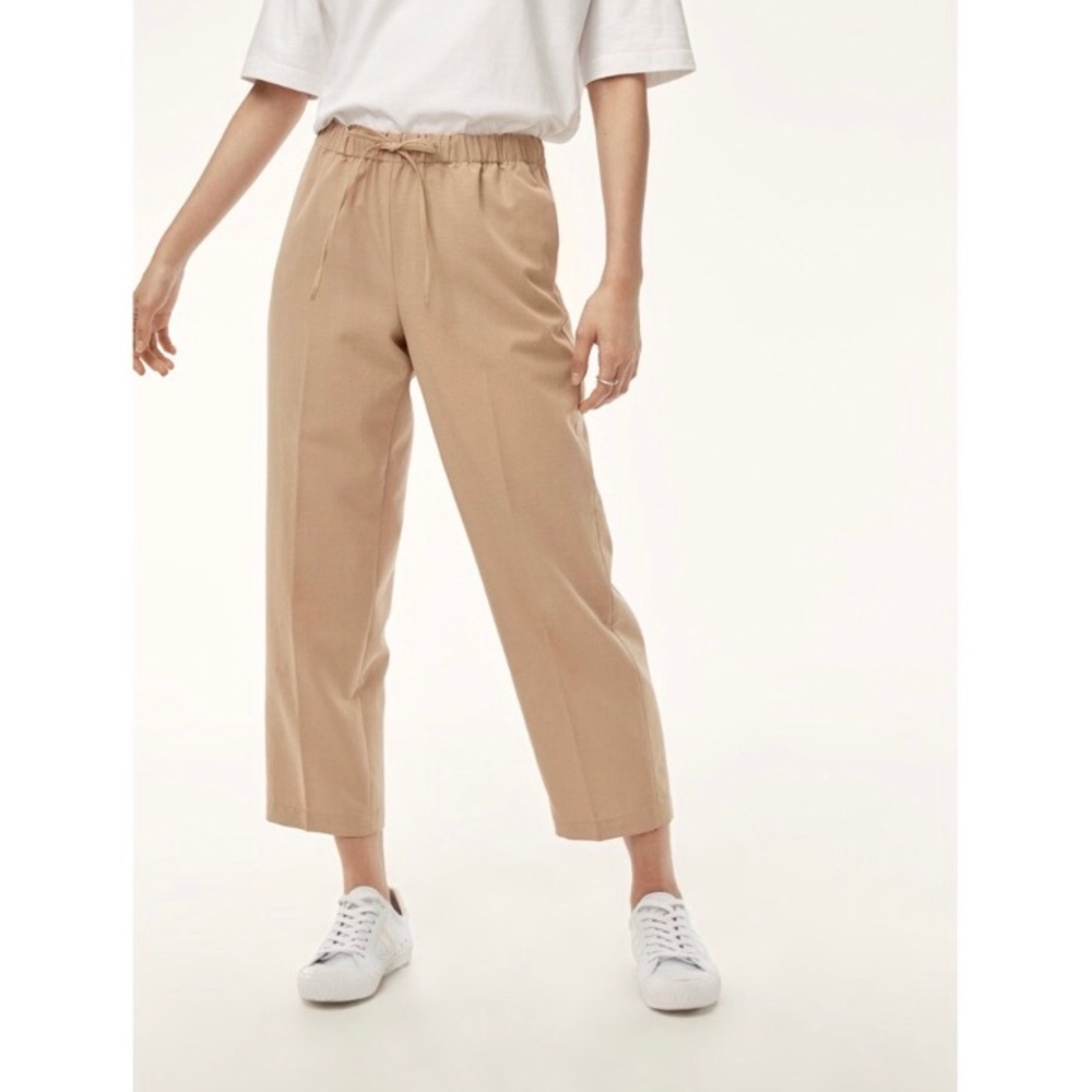 Aritzia ‘Babaton’ Pants